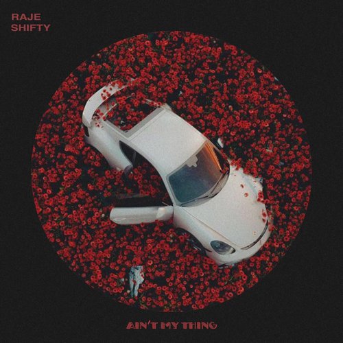 Raje, Shifty - AIN'T MY THING [197629745822]